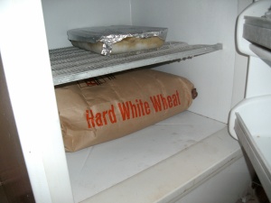 Here is his new home for the next 24 hours. Our freezer. See the yummy baked ziti on the shelf above it? Mmmmmm.